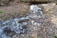IMG-20250324-WA0058