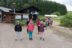 IMG_20250611_084606
