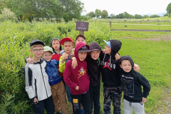 IMG_20250611_090946