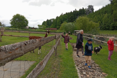 IMG_20250611_091234