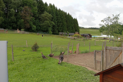 IMG_20250611_091306