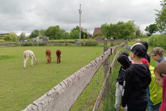IMG_20250611_092801