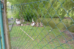 IMG_20250611_093016