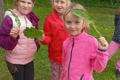 IMG_20250611_110952