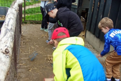 IMG_20250611_111822