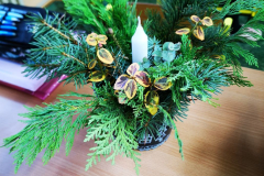 IMG_20251212_084929_edit_652132343916634