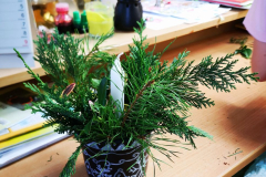 IMG_20251212_085030_edit_652269149348905