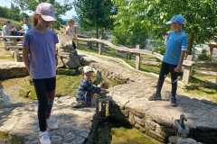 13.-6.-2025-2.B-Vylet-SD-Dolni-Morava-10