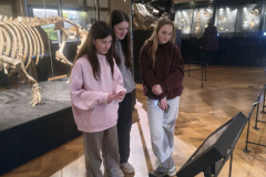 IMG_20260218_111249039_HDR