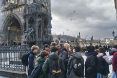 IMG_20260218_145310162_HDR