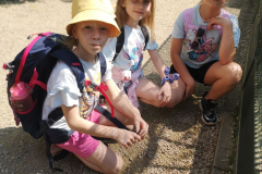 IMG_20250612_105549_1