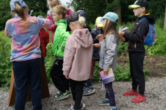 IMG_20260615_090204