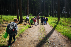 IMG_20260615_150050