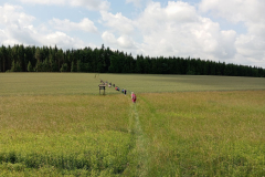 IMG_20260617_103651