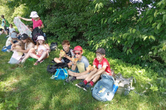 IMG_20260618_105013