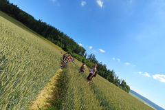IMG_20260619_102948