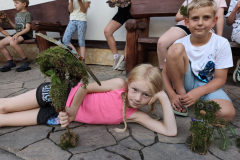 IMG_20260618_182550