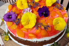 Snidane-2025-2026-web-111