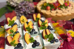 Snidane-2025-2026-web-163