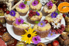 Snidane-2025-2026-web-182