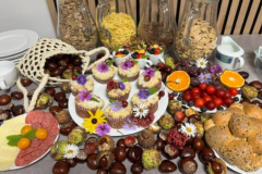 Snidane-2025-2026-web-195