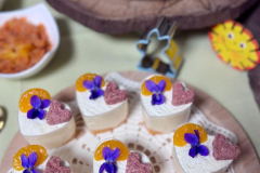 Snidane-2025-2026-web-79