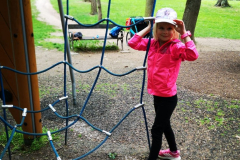 IMG-20250529-WA0005