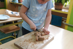 IMG_20260414_111954