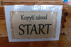 1733421152321