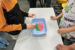 IMG_20260605_130536
