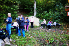 IMG_20261006_105108_edit_85513175572368