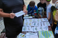 IMG_20240606_101324