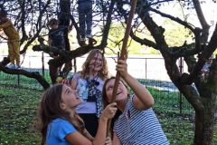 IMG_20240925_101139
