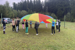 C-13