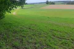 IMG-20240508-WA0013