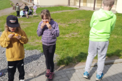 IMG-20240510-WA0019