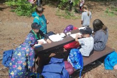IMG-20250709-WA0045