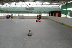 IMG_20230217_091726