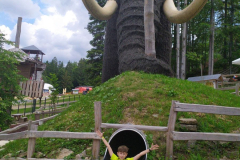 IMG_20230616_112903_BURST1