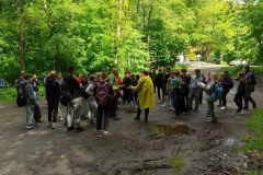 IMG_20250526_150352