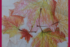 PhotoCollageMaker_20231017_161839747.png