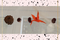PhotoCollageMaker_20231019_113739039.png
