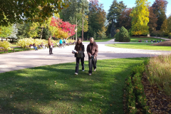IMG_20251013_095644