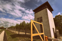 IMG-20250427-WA0086