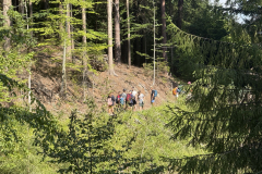 IMG_9022