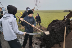 IMG_20251110_090935746_HDR