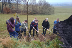 IMG_20251110_100605409_HDR