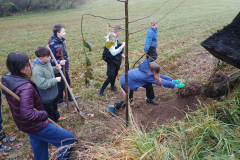 IMG_20251110_100826251