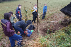 IMG_20251110_100829958