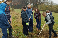 storage_emulated_0_DCIM_Camera_IMG_20251110_094855